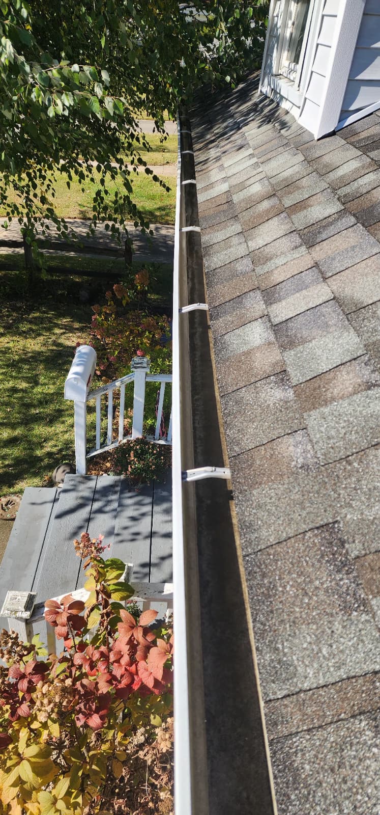 Gutter Cleaning