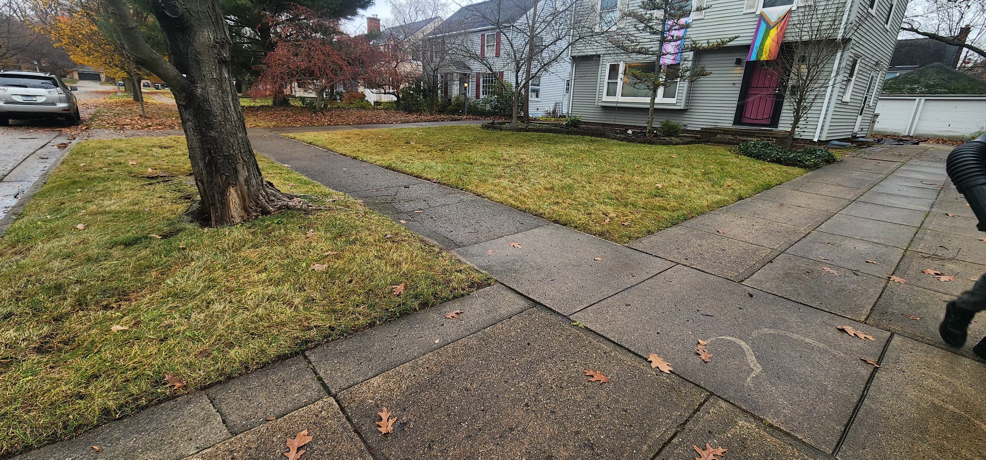 Trash & Debris Removal